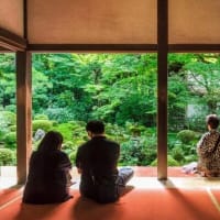 日本庭園に癒しの効果　心拍数低下を研究が裏付け