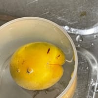 ロールシャッハ的な。