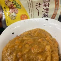 お気に入りのカレー / My favorite chicken curry