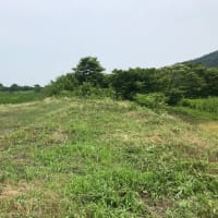 草刈りの記録
