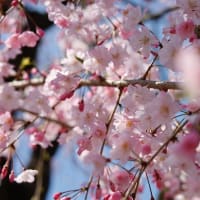 散歩にて
