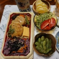 ビビンバ丼　黒米ご飯＆和風豆腐ハンバーグ弁当