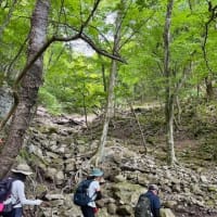 2023年5月31－６月2日 由布岳・鶴見岳　登山レポ－ト