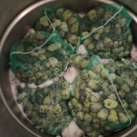 ノニ果実の搬入状況