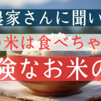 【危険】日本で流通している石油成分入りのお米とその見分け方【オススメのお米】