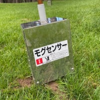 鳴沢ゴルフ倶楽部へ行ってきました。