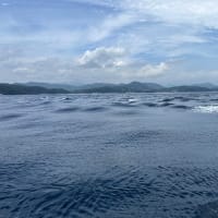 御前崎マリーナから下田港へ