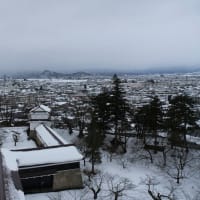 2025/3/5　きゅんパス日帰り旅行　中編2025/3/5にJR東日本の「きゅんパス」を使って日帰りで出かけてきました。
