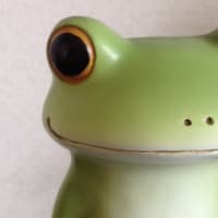a frog’s chorus