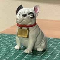コロナ禍のコイルの日