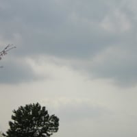 雲の写真２　「雲観察」