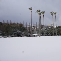 雪の運動公園と上山