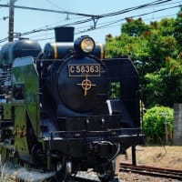 SLパレオエクスプレスと貨物列車（秩父鉄道 2025.6.22撮影）