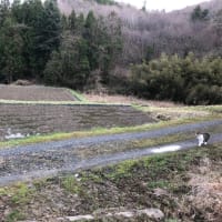 無事に🌾の種まき終わりました