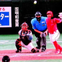 なにっ草刈りっ