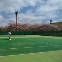 桜の中のテニスに続いて、例年より早めの畑作業開始