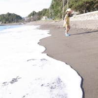 夏休み