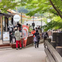 新緑の高尾山