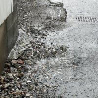 荒梅雨