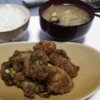 晩御飯特集☆