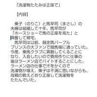 正座小説「洗濯物たたみは正座で」web公開のお知らせ