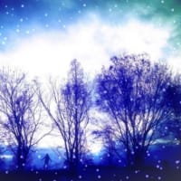 WHITE　FOREST