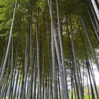 じぶんへの観察眼の変化