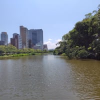 ★指定地域共同活動団体制度を考える（福岡県地方自治研究所）