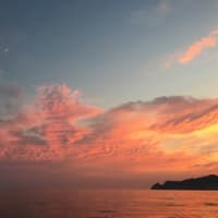 久しぶりに釣り