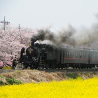 春の真岡鐵道2016
