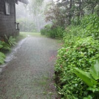 Heavy rain
