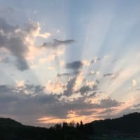 今日のスゴ空