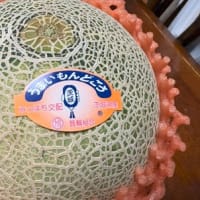 これも、親心！？