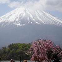 富士山を見に行く
