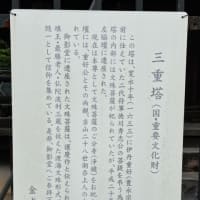 金戒光明寺 (くろ谷さん)