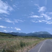 30度を超えました。