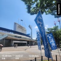 シンガポールマラソン（5キロの部）エントリー