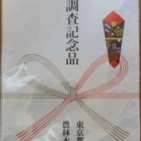 今日も秋川へ❗️