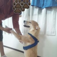 陽菜ちゃん、立つ。