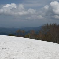 頚城金冠山山麓散策