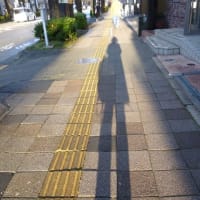 夏至の翌日正午すぎの私のかげ