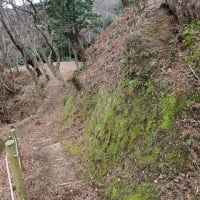 飯盛山城 三河 その2　鎌倉期に足助氏によって築かれたが今はモミジの香嵐渓として有名
