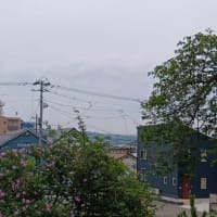 アルツGさん的雑想ノート