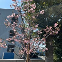 こんにちは