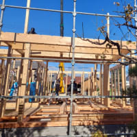 建前総桧造りの家