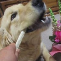 カメラ目線ができた！