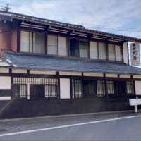 【釣】清流に癒されるも厳しい釣果　（2025/06/28　鮎　大洞川・小坂川）