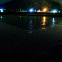 水鏡