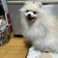 家族☆