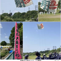 相模の大凧まつり